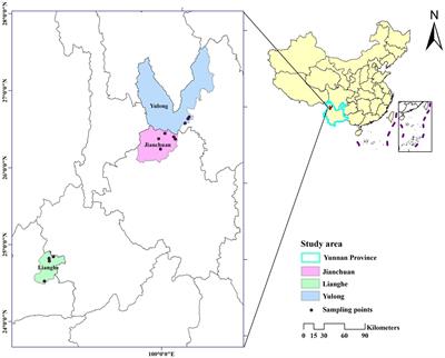 Molecular detection of Bartonella species in wild small mammals in western Yunnan Province, China